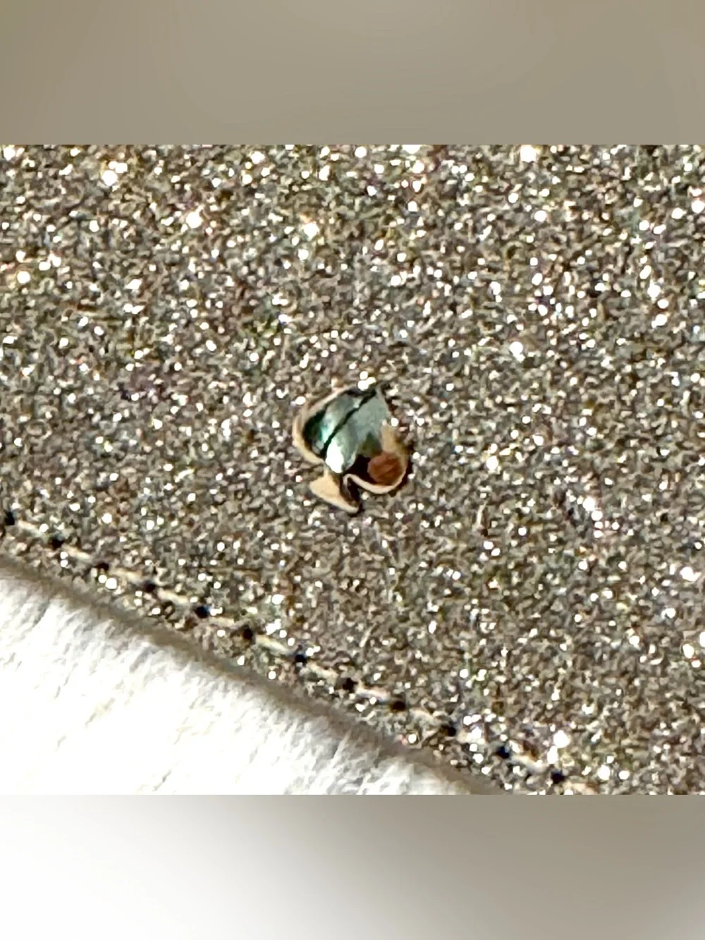 Kate Spade New York Glitter Triple Sticker Smartphone Pocket Gold NWOT RARE